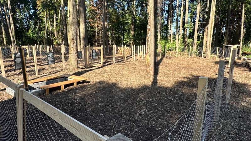 Check-In (Dog Run Site)