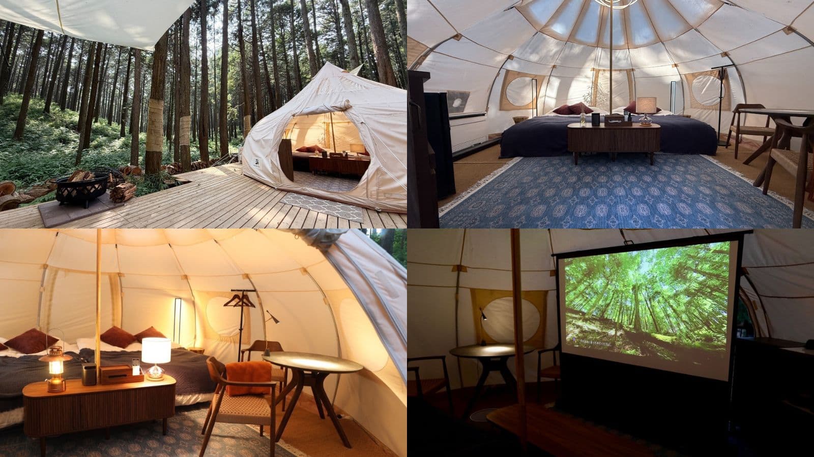 This Summer, Go Glamping. Air-Conditioned Dome for Total Forest Comfort