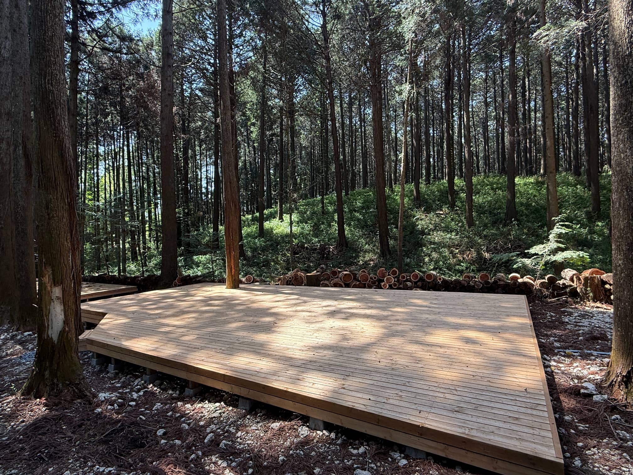 Deck