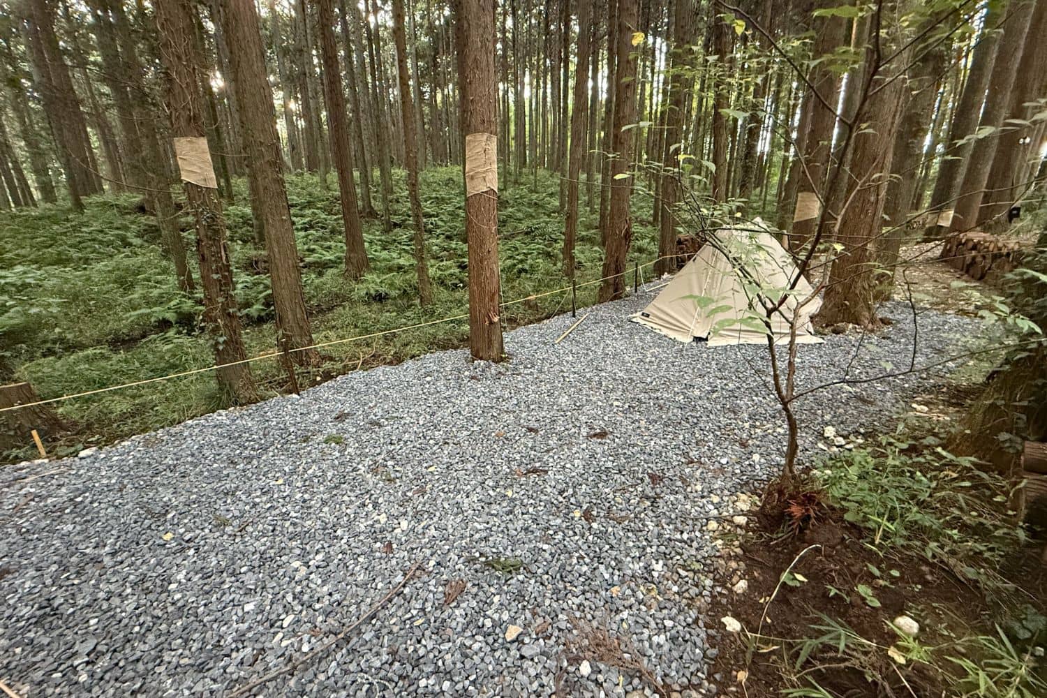 Site Tent