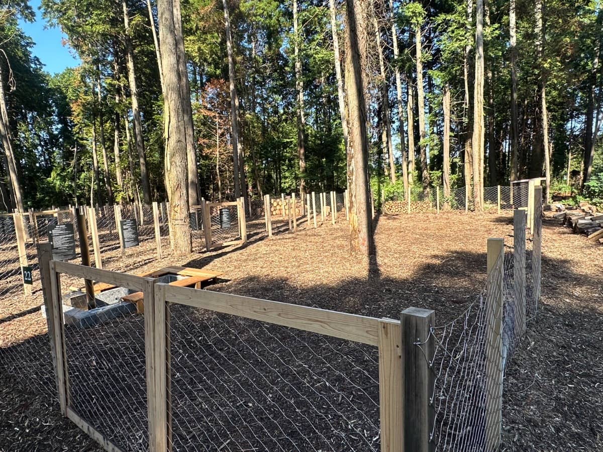 Dog Run
