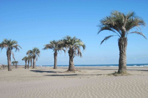 本須賀海水浴場